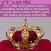 WTF Fun Fact – Dutch Fish Scale Crown