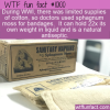 WTF Fun Fact – Moss For Bandages