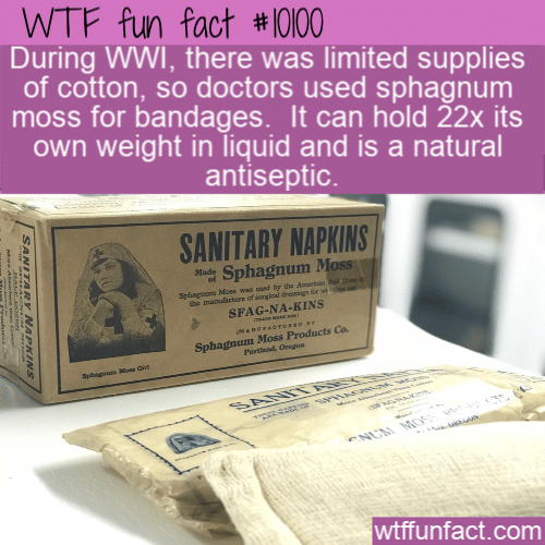 WTF Fun Fact - Moss For Bandages