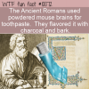 WTF Fun Fact – Mouse Brains Toothpaste