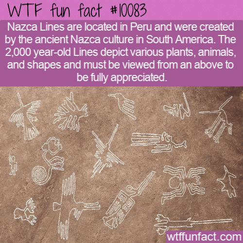 WTF Fun Fact - Nazca Lines