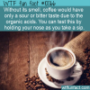 WTF Fun Fact – Coffee Taste