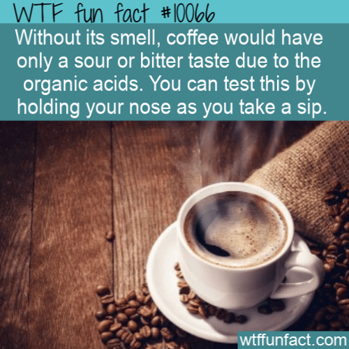 WTF Fun Fact - Organic Acid Makes Coffee Bitter