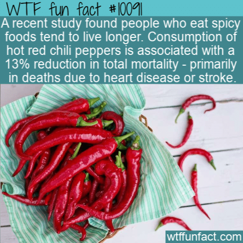 WTF Fun Fact - Spice For Long Live