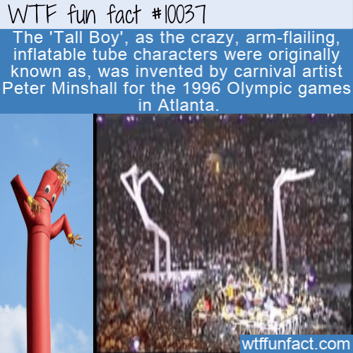 WTF Fun Fact - Tall Boy