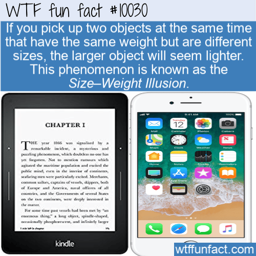 fun fact size weight illusion