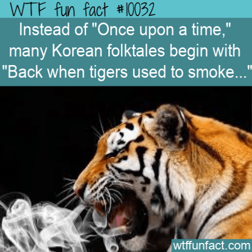wtf fun fact - Back when tigers used to smoke.png
