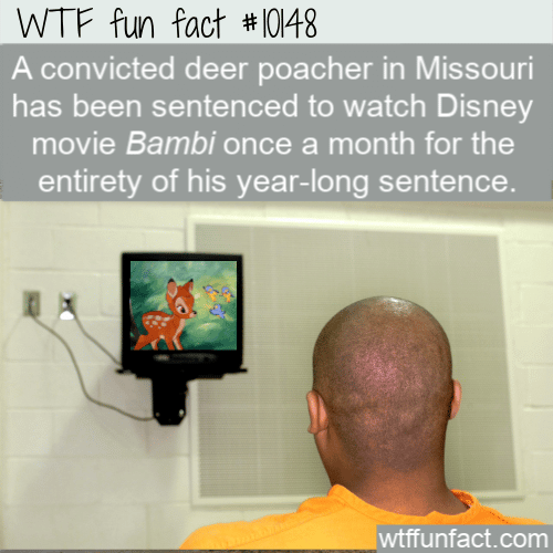 WTF Fun Fact - Bambi Punishment
