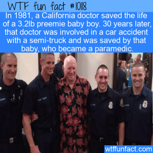 WTF Fun Fact - California Doctor
