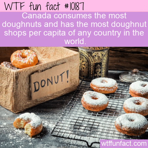 WTF Fun Fact - Doughnut Fact