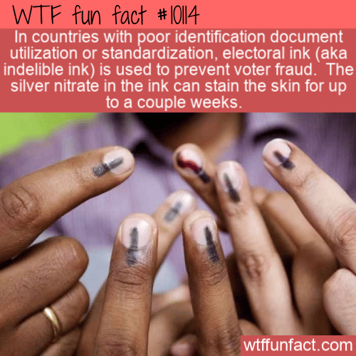 WTF Fun Fact - Election Ink