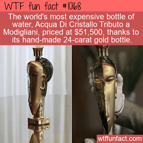 WTF-Fun-Fact-Gold-Bottle-Worths-%C2%A341335.png