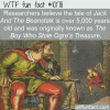 WTF Fun Fact – How Old Is Jack