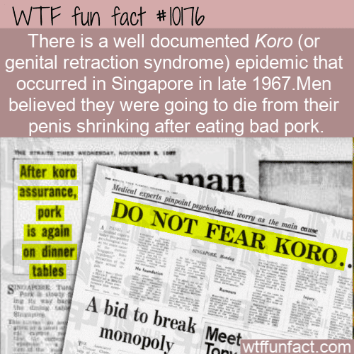 WTF Fun Fact - Koro Epidemic