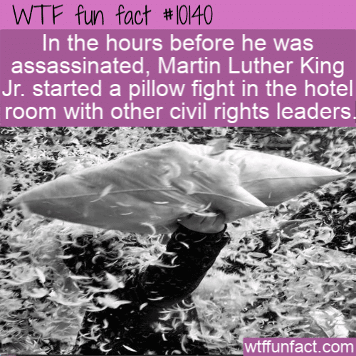 WTF Fun Fact - MLK Pillow Fight