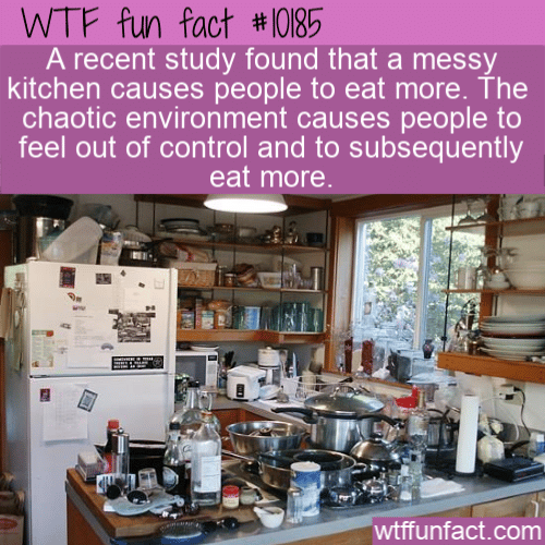 WTF Fun Fact - Messy Kitchen More Food