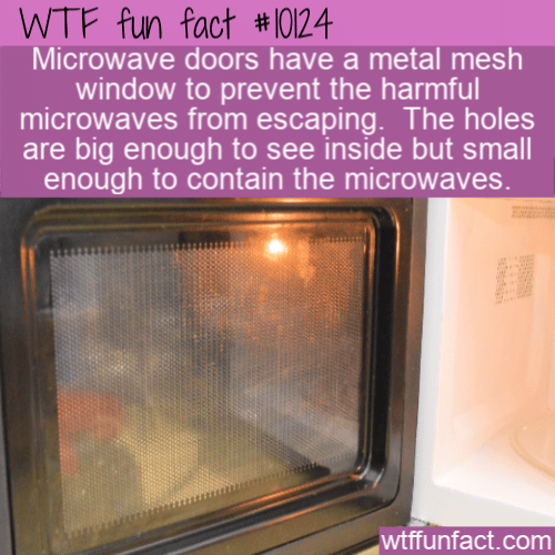 WTF Fun Fact - Microwave Door