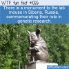 WTF Fun Fact – Lab Mouse Monument