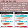 WTF Fun Fact – The Wrong Fish