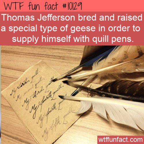 WTF Fun Fact - Thomas Jefferson Geese