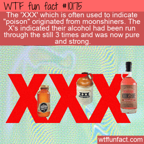 WTF-Fun-Fact-XXX-Meaning.png