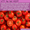 WTF Fun Fact – Bland Tomatoes