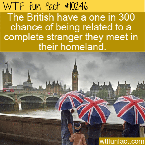 WTF Fun Fact - Brits Related To Strangers