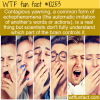 WTF Fun Fact – Contagious Yawning