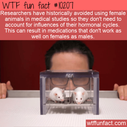 WTF Fun Fact - Female Test Subjects
