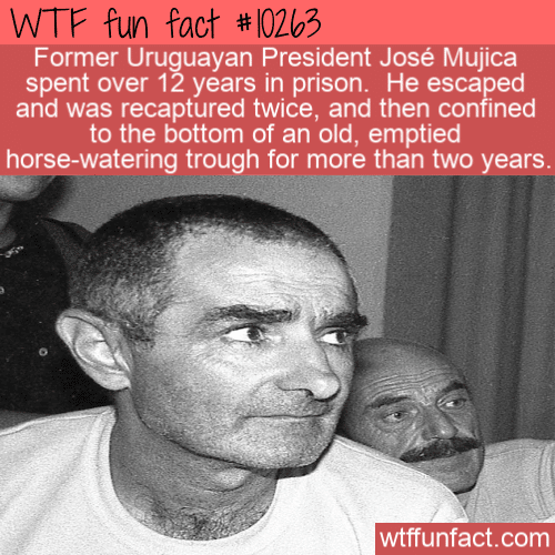 WTF Fun Fact - Former Uruguay President