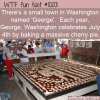 WTF Fun Fact – George, Washington Cherry Pie