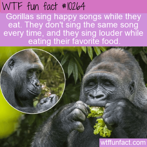WTF Fun Fact - Happy Eating Songs
