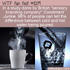 WTF Fun Fact – Hot Or Cold Sound