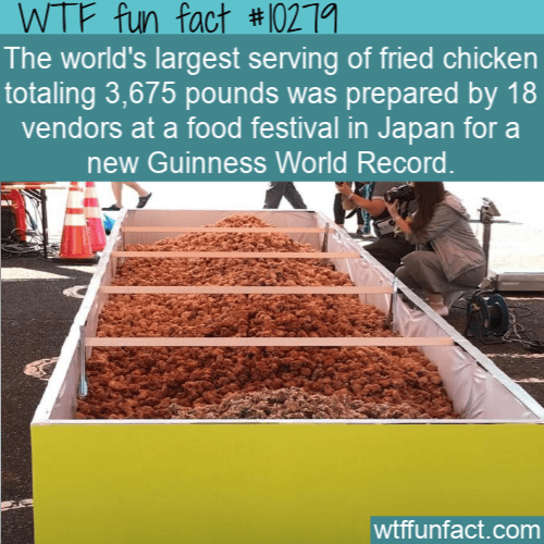 WTF Fun Fact - Largest Fried Chicken