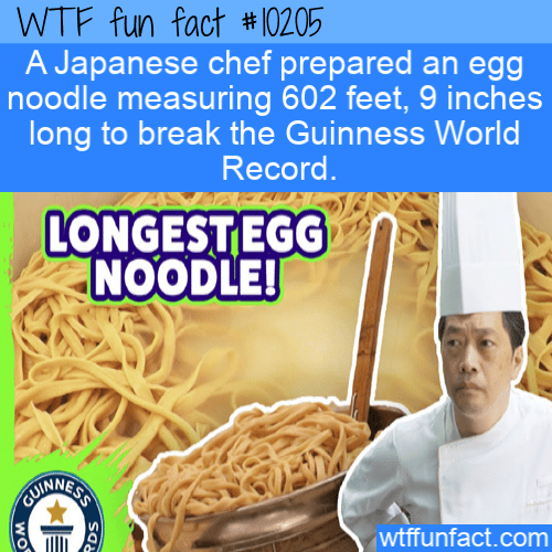 WTF Fun Fact - Longest Egg Noodle