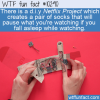 WTF Fun Fact – Netflix Socks