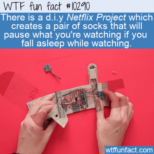 WTF Fun Fact - Netflix Socks
