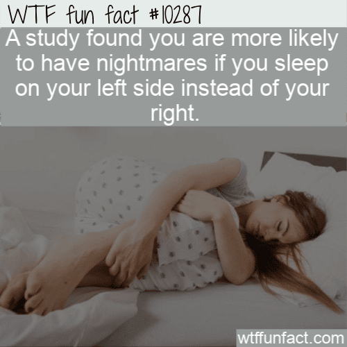 WTF Fun Fact - Nightmares