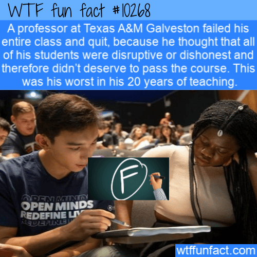 WTF Fun Fact - Professor VS Students