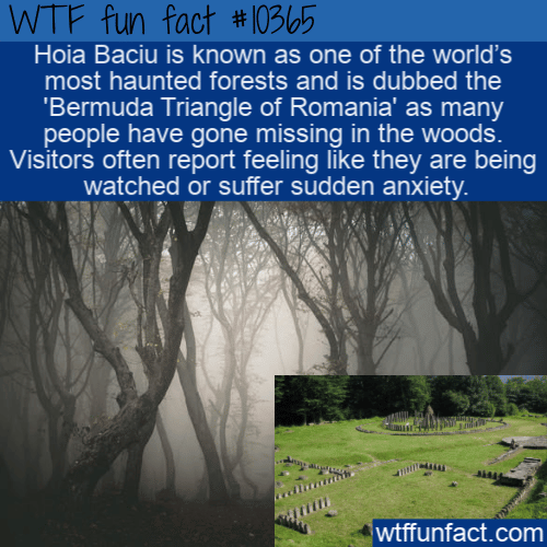 WTF Fun Fact - Bermuda Triangle Of Romania