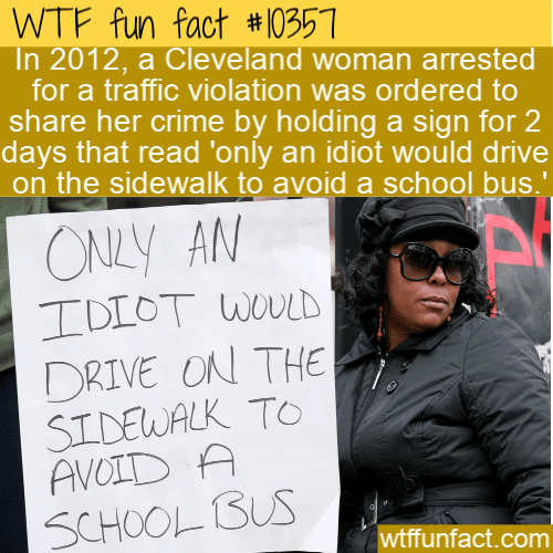 WTF Fun Fact - Cleveland Traffic Arrest