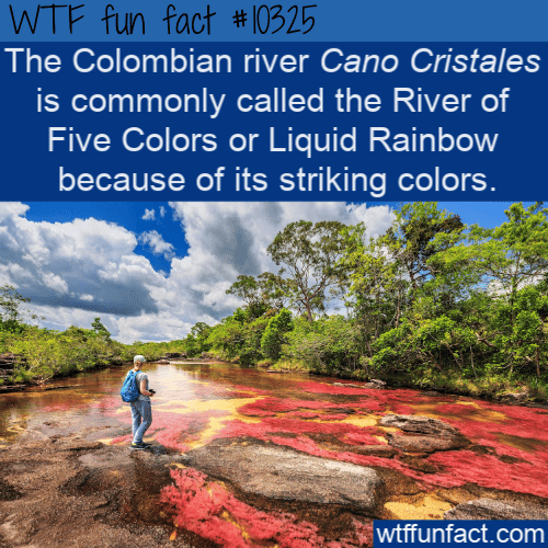 WTF Fun Fact - Colorful River