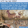 WTF Fun Fact – Early Human Canned Soup