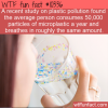 WTF Fun Fact – Microplastic Consumption