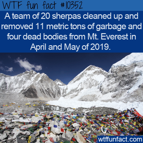 WTF Fun Fact - Mt Everest Cleanup