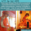 WTF Fun Facts – Shingon Monks Sokushinbutsu