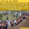 WTF Fun Fact – World Record Trees Planted
