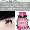 WTF Fun Fact – Victoria Secret Mosquito Repellent