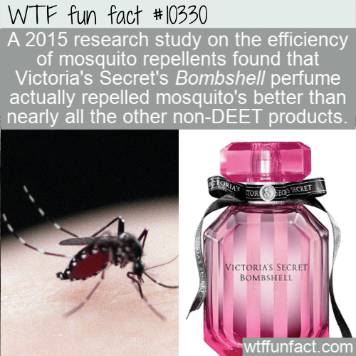WTF Fun Fact - Victoria Secret Mosquito Repellent