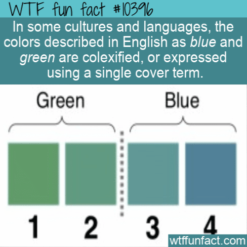WTF Fun Fact - Blue and Green Colexified